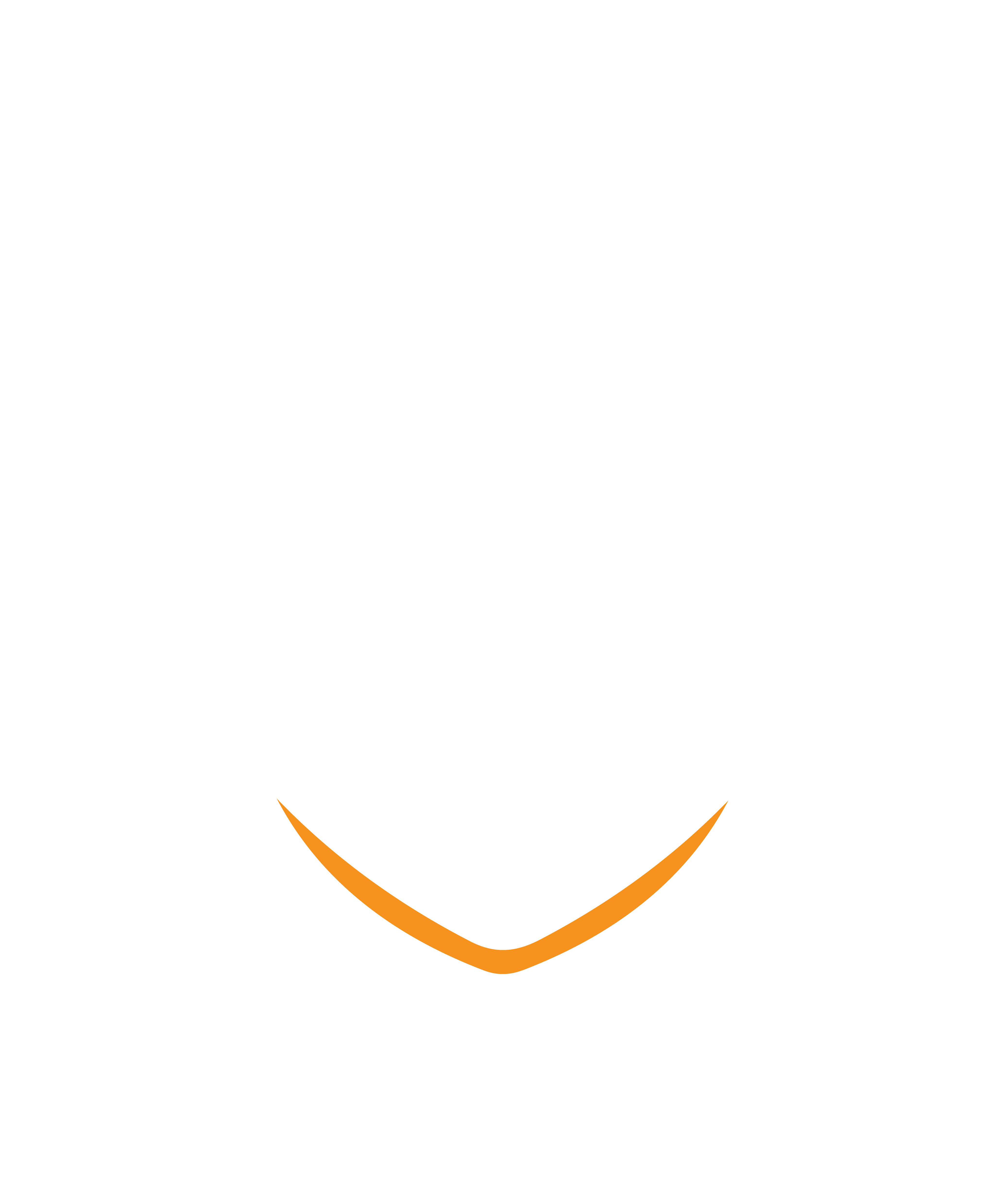 Resolute Security Solutions