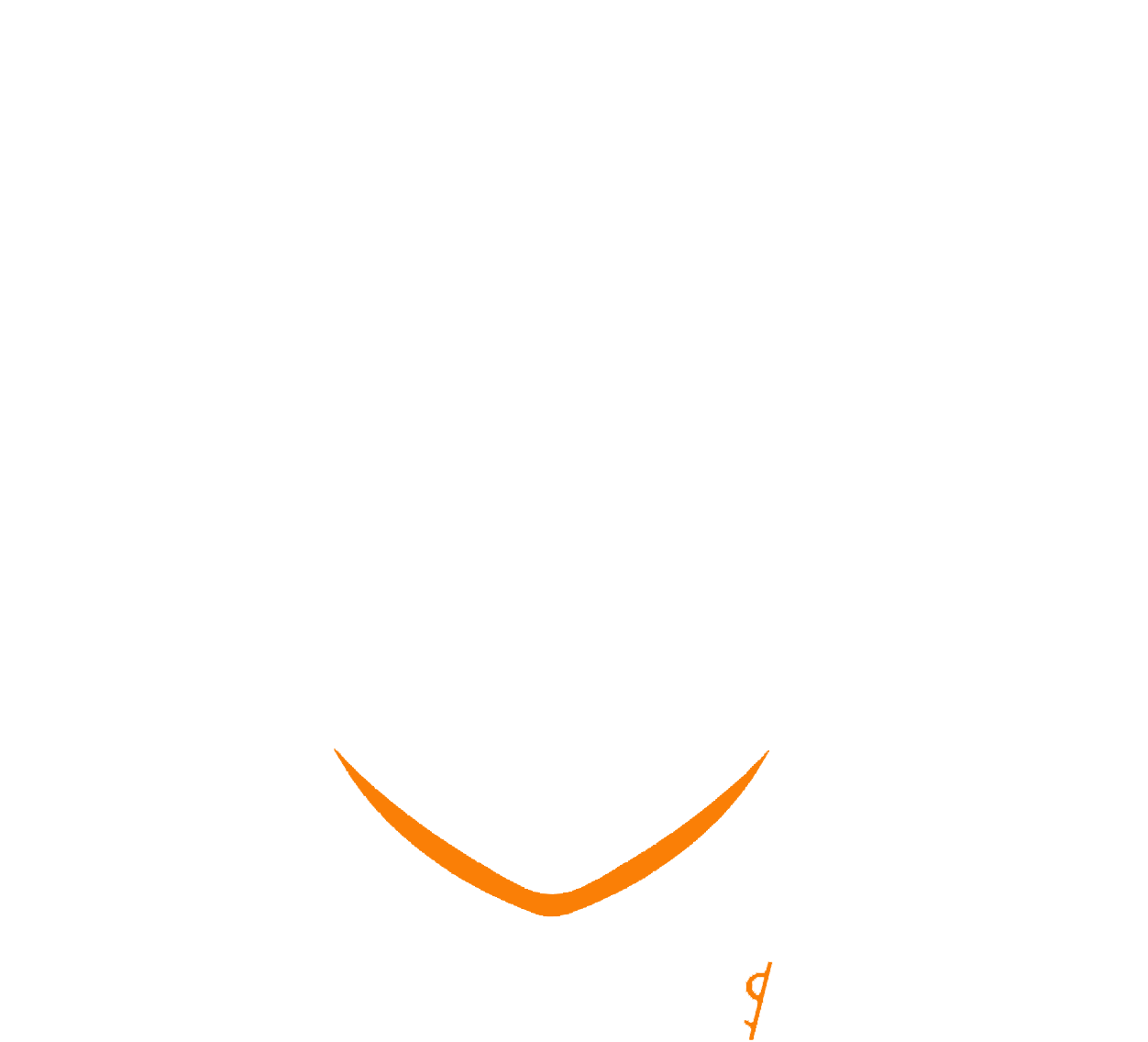 Resolute Security Solution
